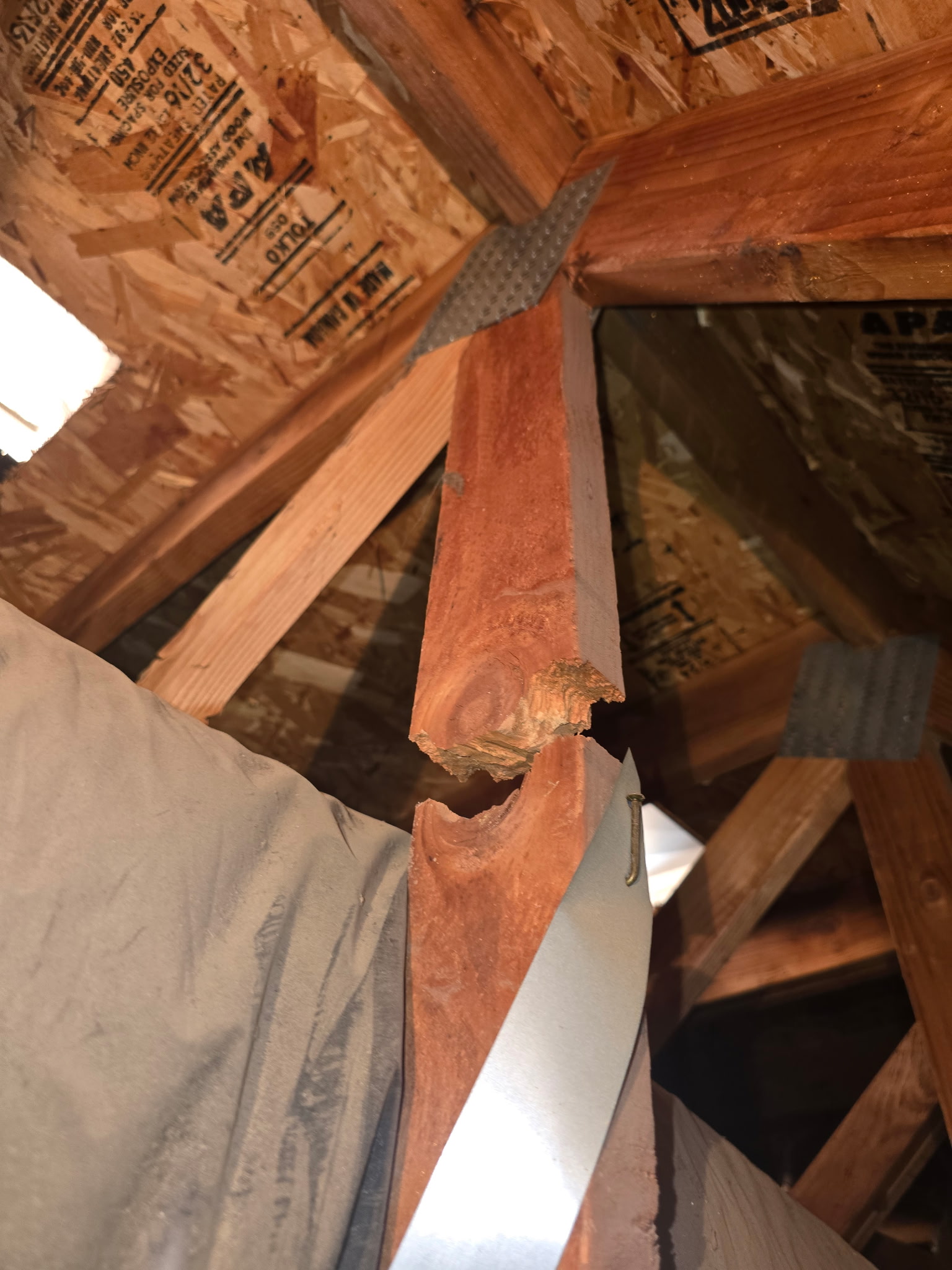 11-Month Warranty Inspection